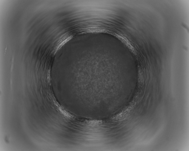 X0000096680889200802191350