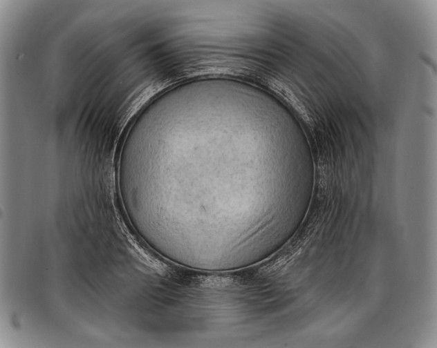 X0000096680890200802191350