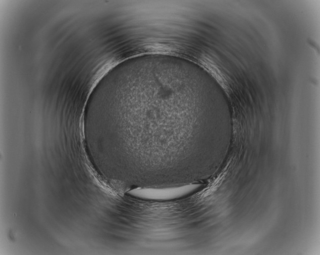 X0000096680891200802191350