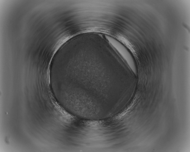 X0000096680892200802191350