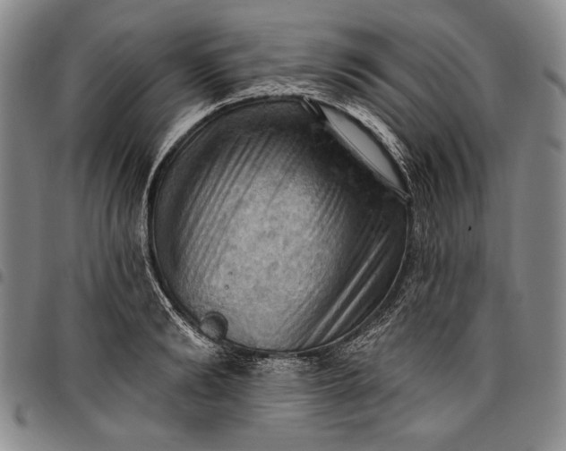 X0000096680894200802191350