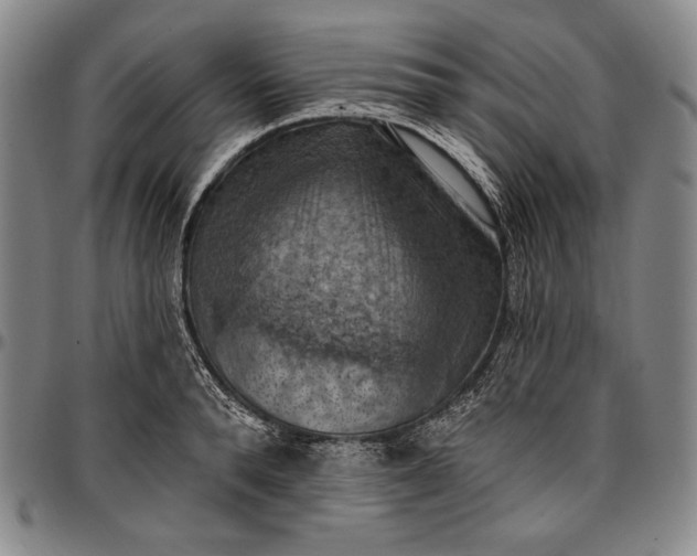 X0000096680896200802191350