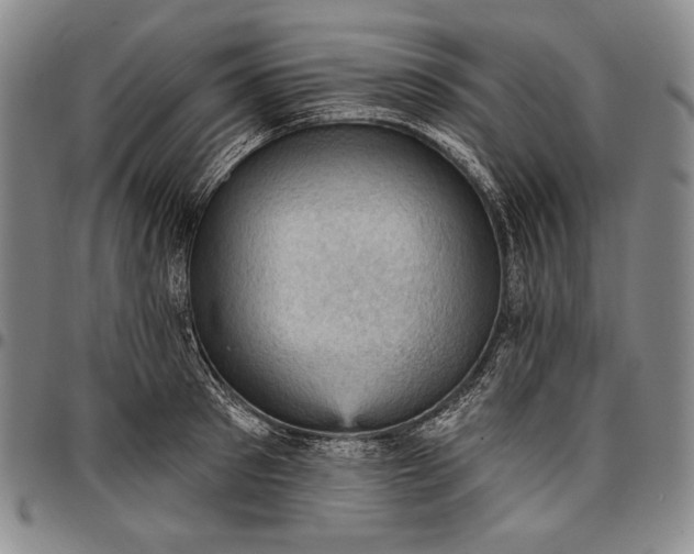 X0000096680897200802191350
