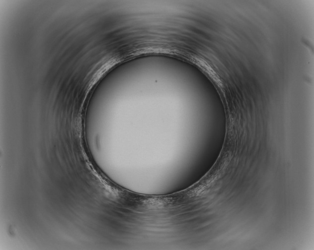 X0000096680898200802191350