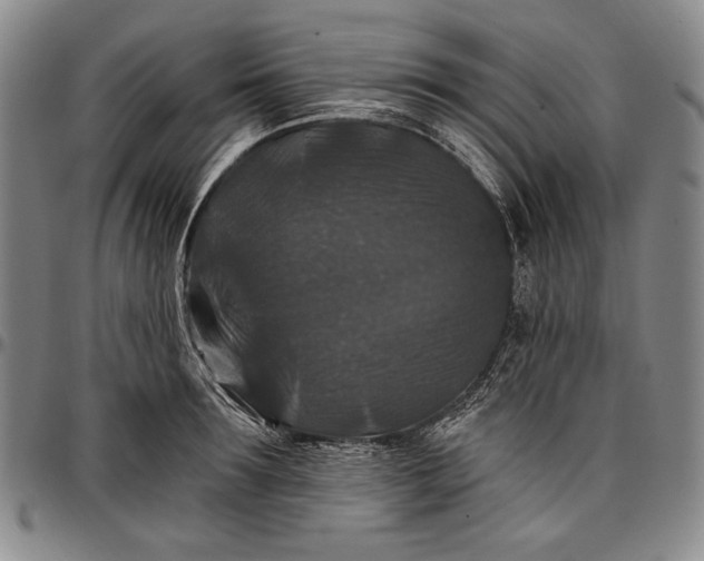 X0000096680899200802191350