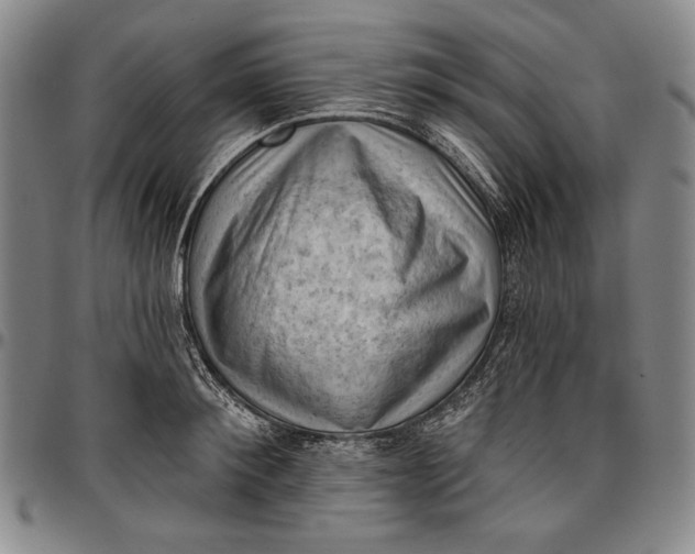 X0000096680900200802191350