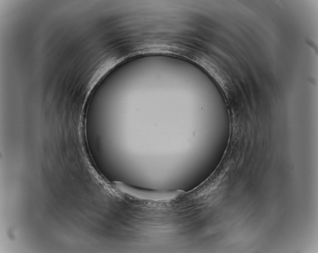X0000096680901200802191350
