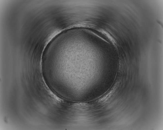 X0000096680902200802191350
