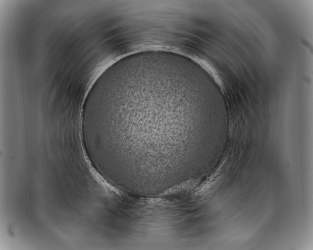 X0000096680903200802191350