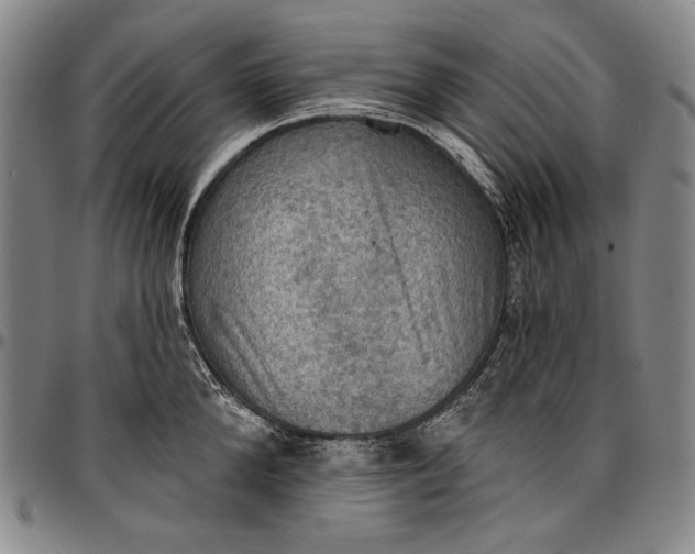 X0000096680904200802191350