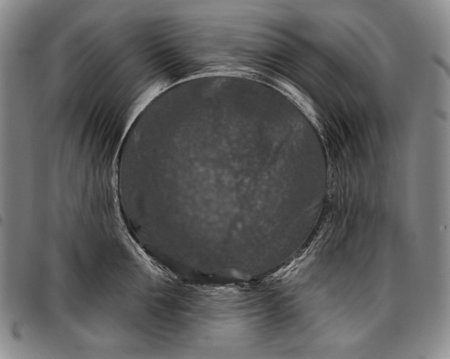X0000096680907200802191350