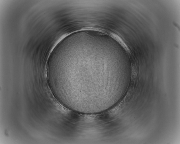 X0000096680908200802191350