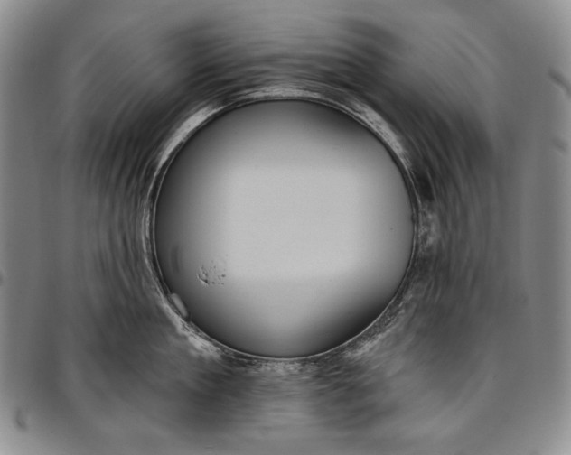 X0000096680909200802191350