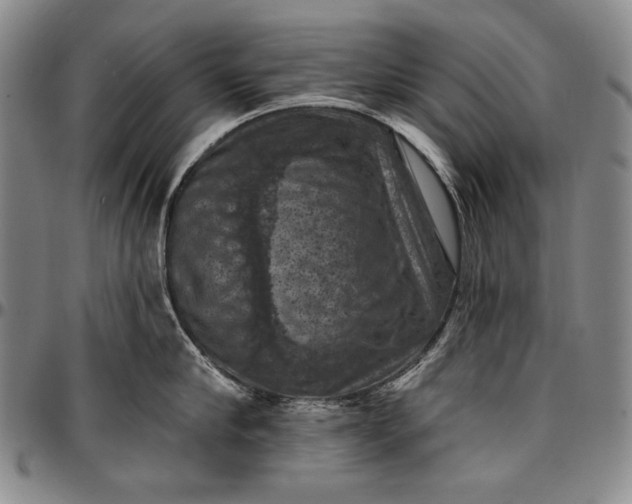 X0000096680910200802191350