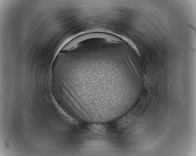 X0000096680911200802191350