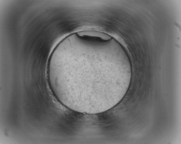 X0000096680912200802191350