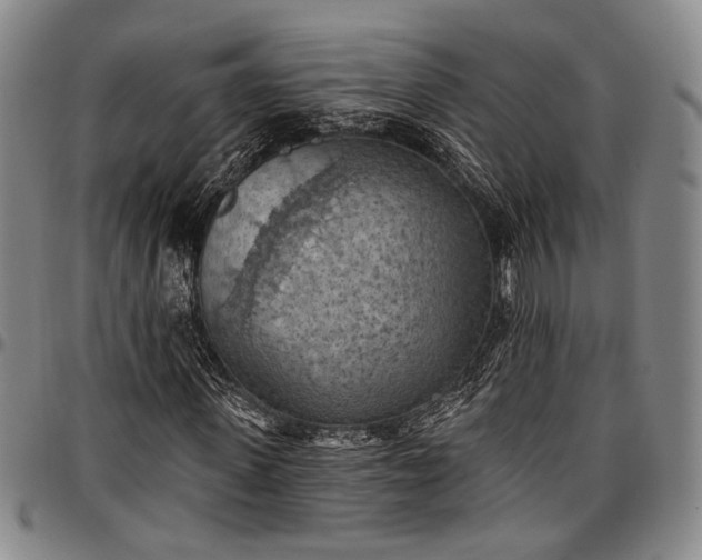 X0000096680915200802191349