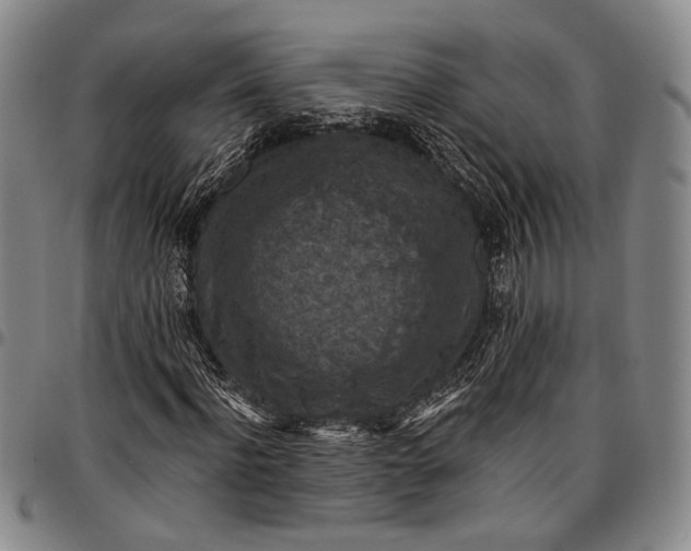 X0000096680916200802191349