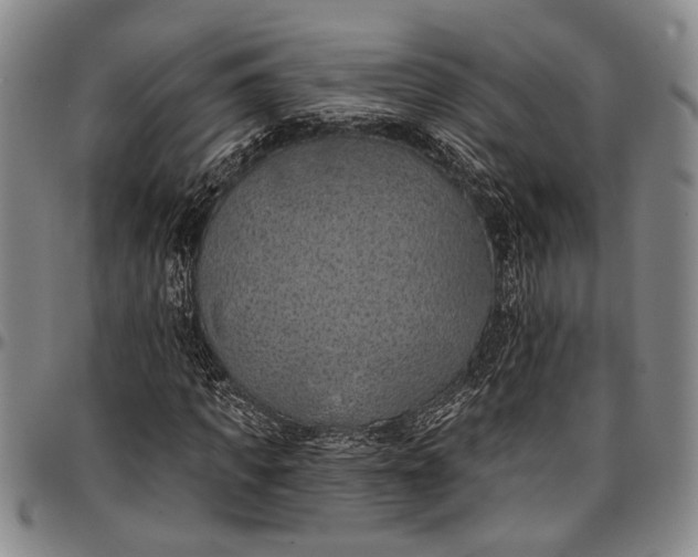X0000096680917200802191349