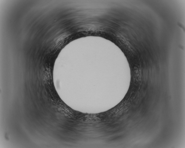 X0000096680918200802191349