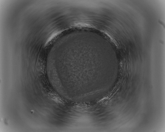 X0000096680919200802191349