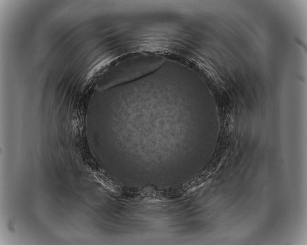 X0000096680920200802191349