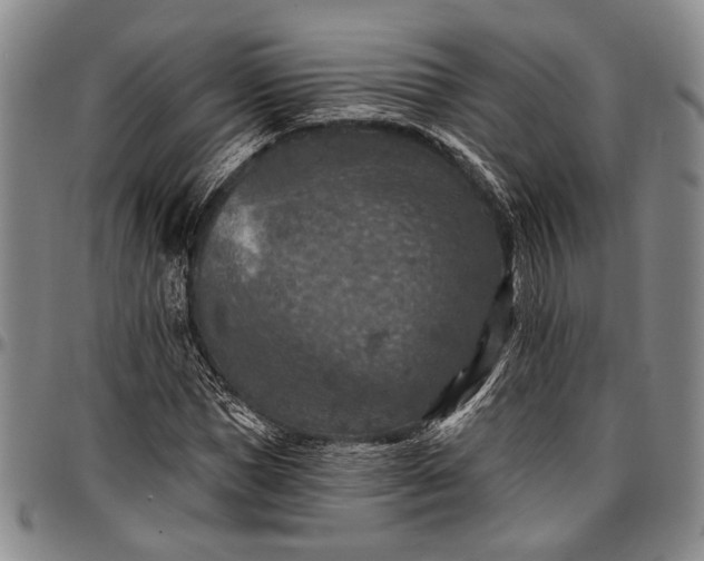X0000096680921200802191349
