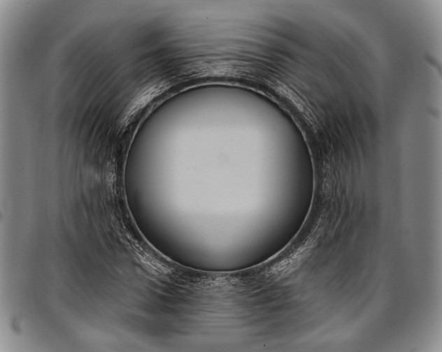 X0000096680922200802191349