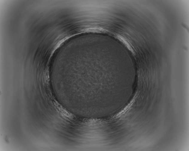 X0000096680923200802191349