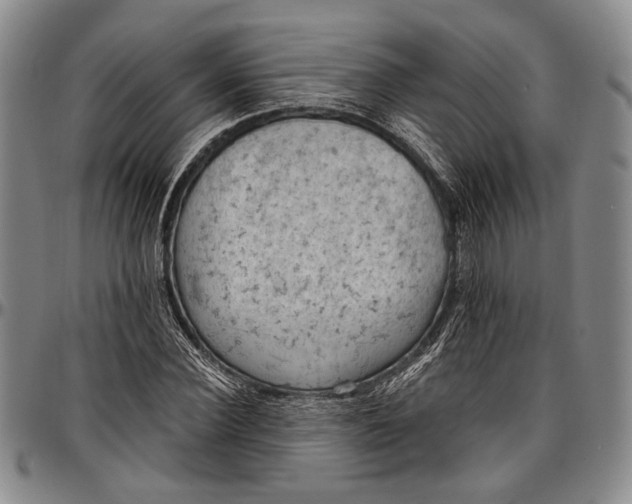 X0000096680924200802191349