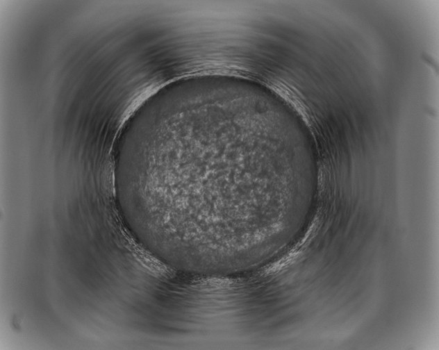 X0000096680925200802191349