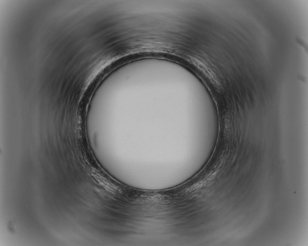 X0000096680926200802191349