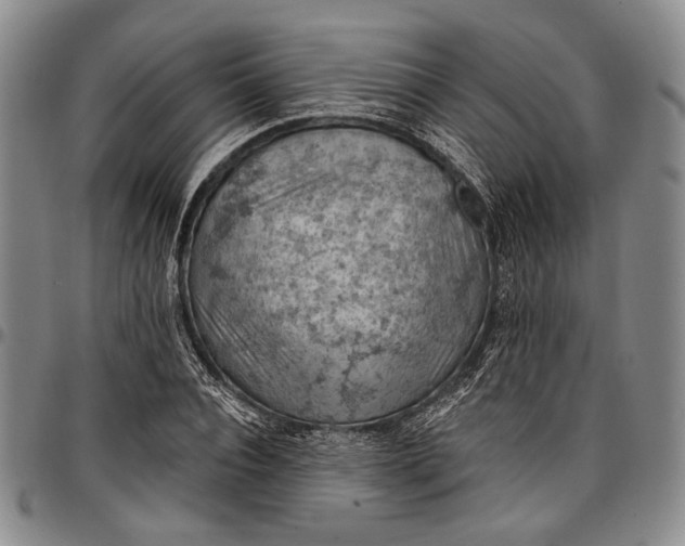 X0000096680928200802191349