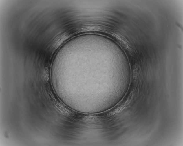 X0000096680929200802191349