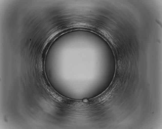 X0000096680931200802191349