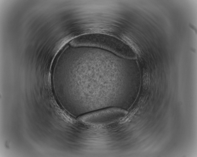 X0000096680932200802191349
