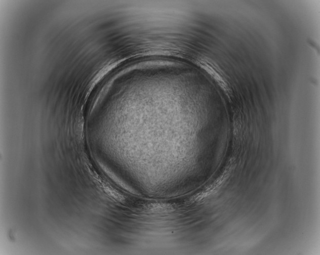X0000096680933200802191349