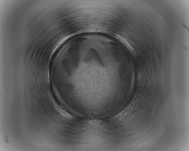 X0000096680934200802191349