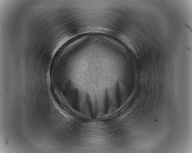 X0000096680936200802191349