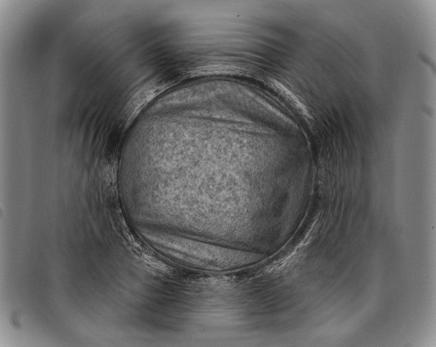 X0000096680937200802191349