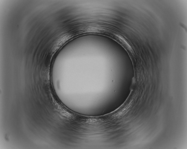 X0000096680938200802191349