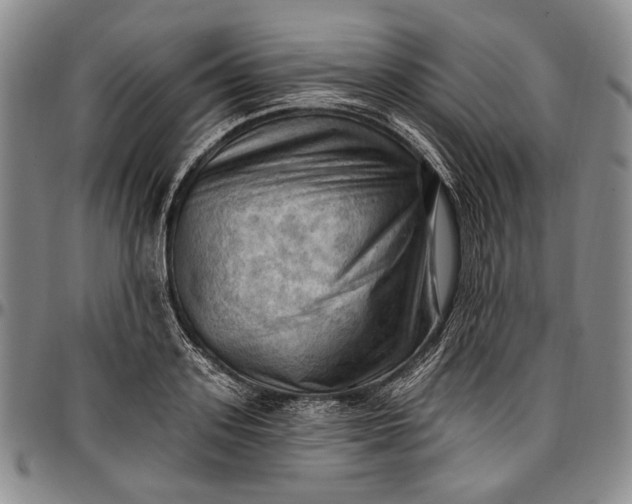 X0000096680939200802191349