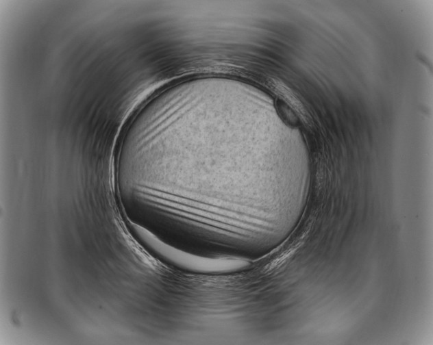 X0000096680940200802191349