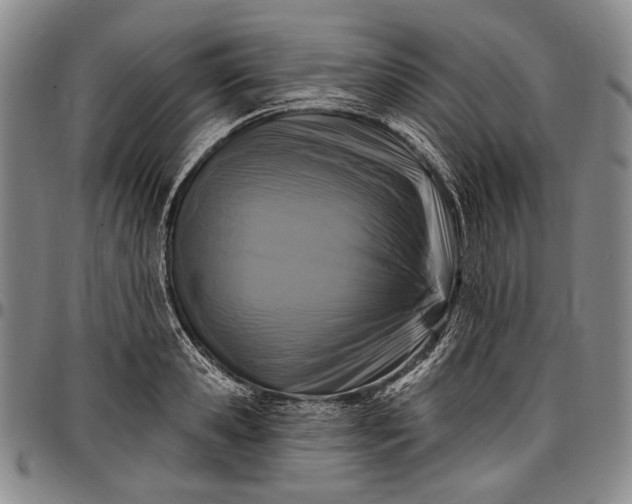 X0000096680941200802191349