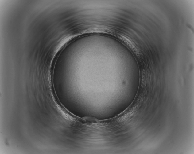 X0000096680942200802191349
