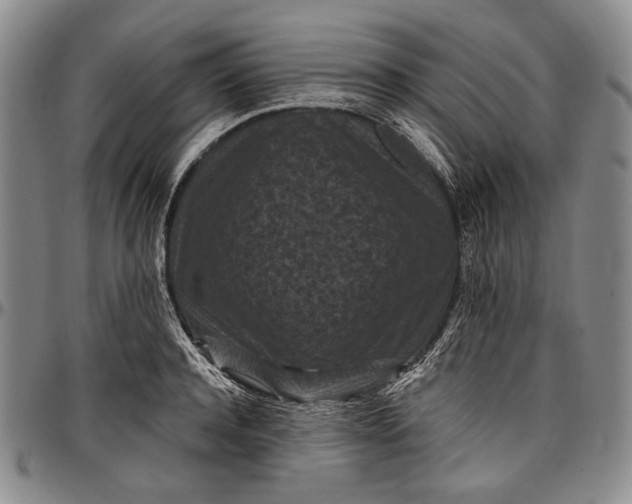 X0000096680944200802191349