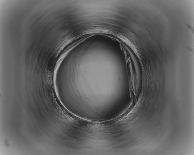 X0000096680945200802191349