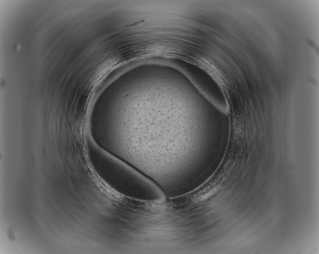 X0000096680946200802191349