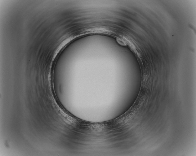 X0000096680947200802191349