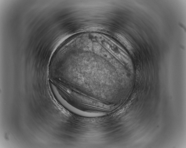 X0000096680948200802191349